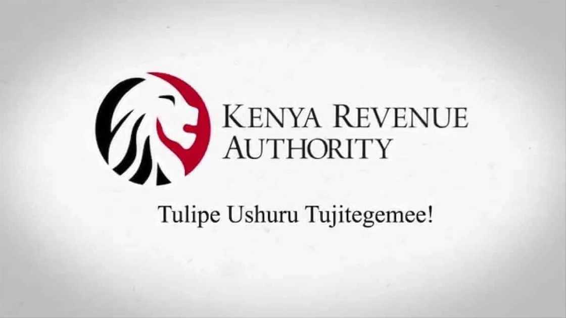 The Eastleigh-KRA Gridlock: Can Africa’s Largest Informal Hub Go Digital?